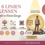 5. Linie
